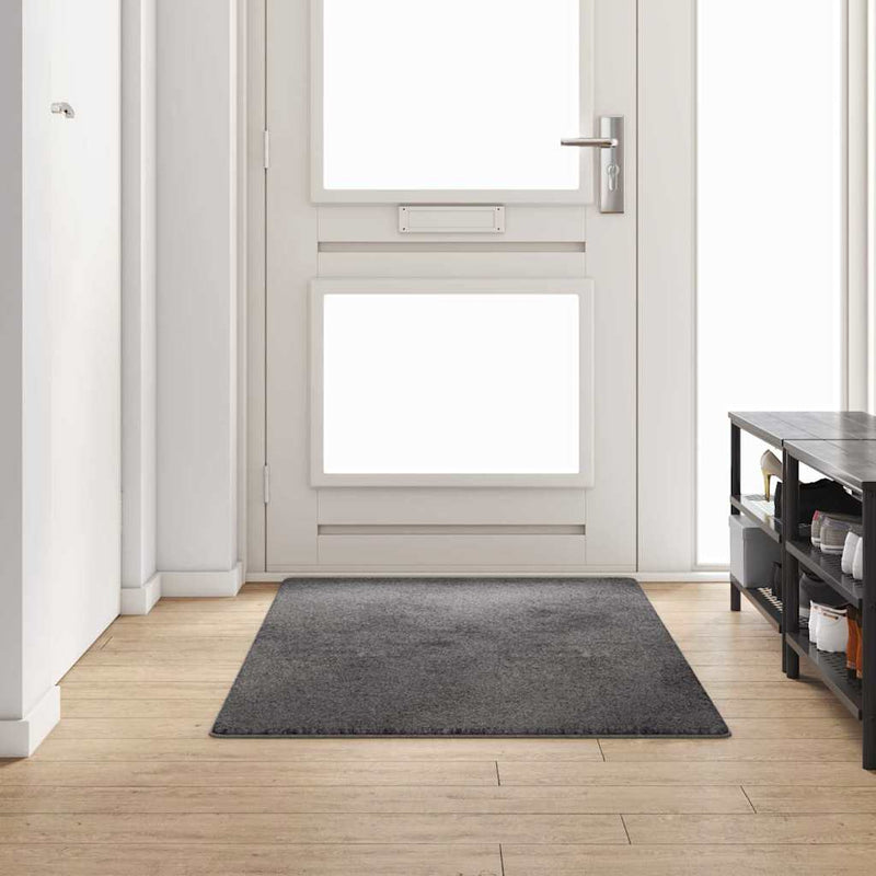 Afbeelding laden in galerijviewer, Vidaxl tapijt loper grijs 100 x 200 cm 100% polypropylene tuft