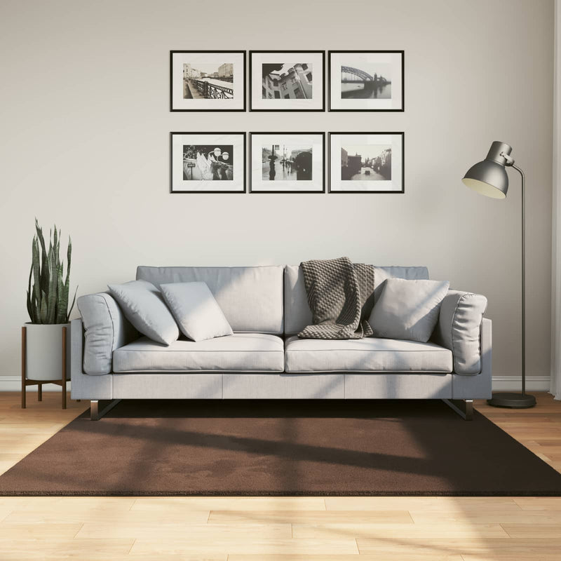 Afbeelding laden in galerijviewer, Vidaxl medium pile zachte en wasbare tapijt huarte bruin 160 x 160 cm