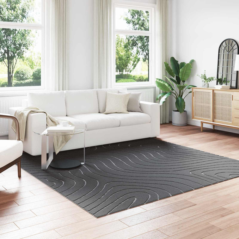 Afbeelding laden in galerijviewer, Vidaxl binnen- en buitentapijt palmeras antraciet 240 x 240 cm