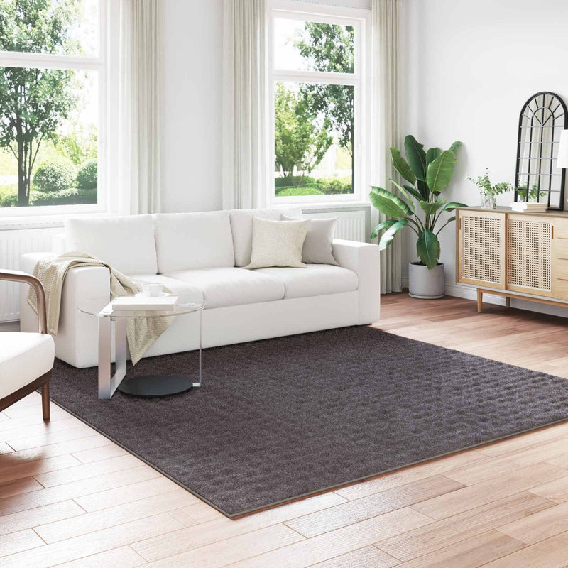 Afbeelding laden in galerijviewer, Vidaxl vloerkleden vierkant sirolo antraciet 240 x 240 cm polyester
