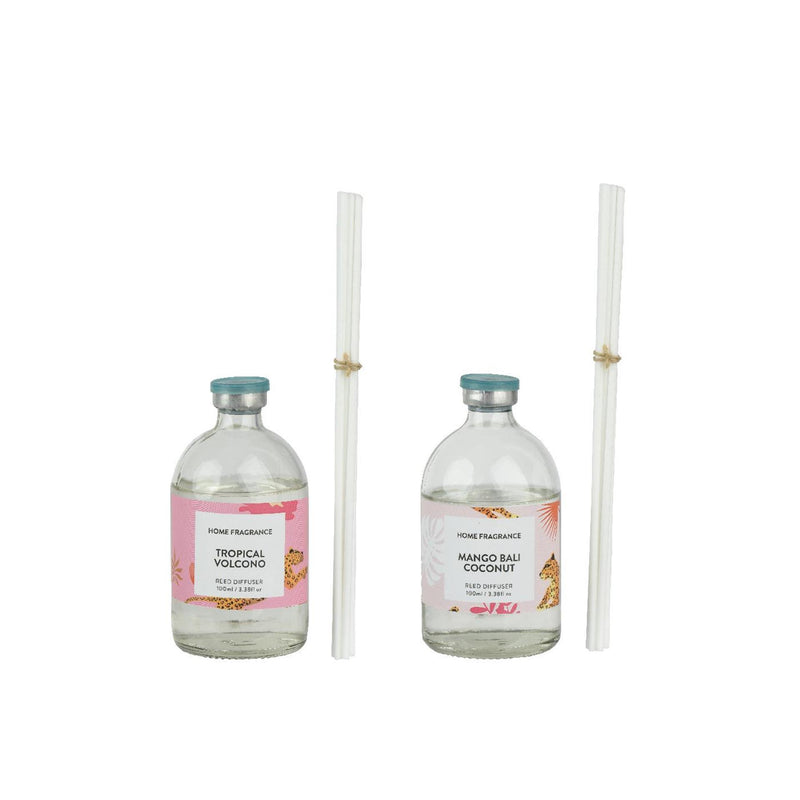 Afbeelding laden in galerijviewer, Decoris diffuser glas in koker 100ml ø6,5xh18,5cm 2 assorti