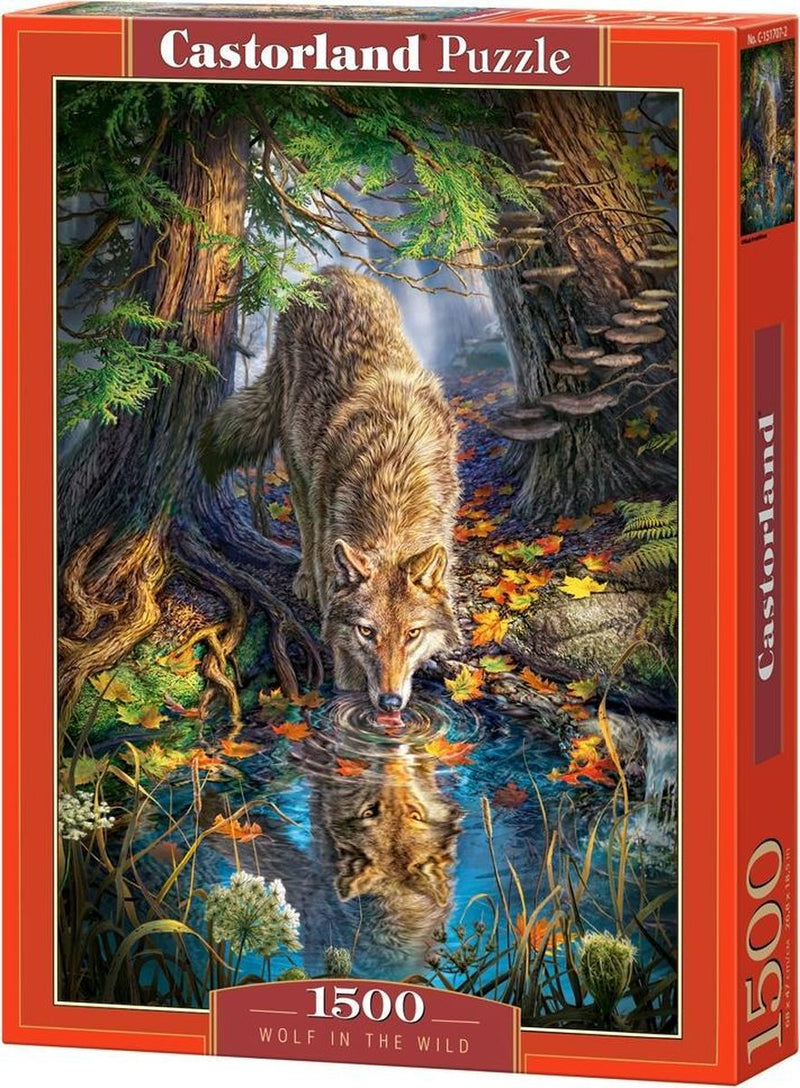 Afbeelding laden in galerijviewer, Castorland wolf in the wild – puzzel – 1.500 stukjes – satijnen afwerking – perfecte pasvorm – europese kwaliteit