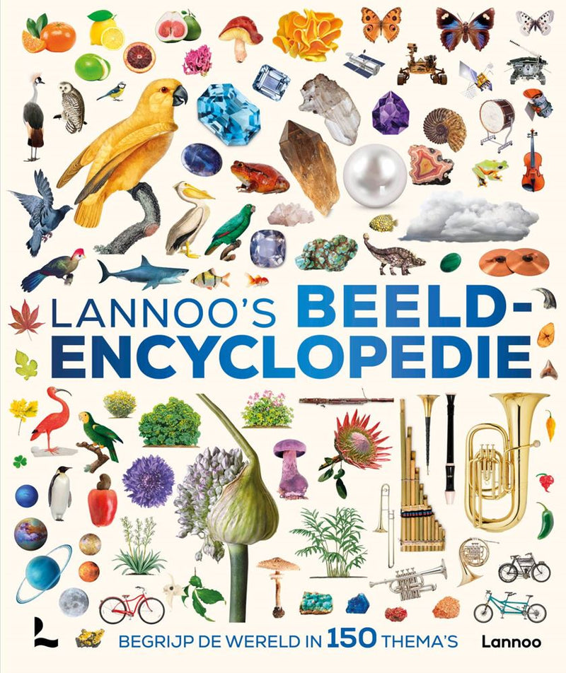 Afbeelding laden in galerijviewer, Informatief: lannoo's beeldencyclopedie
