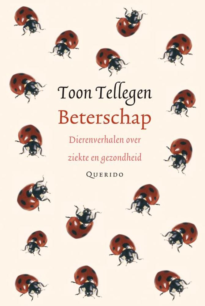 Afbeelding laden in galerijviewer, Toon tellegen: beterschap. cadeauboekje.