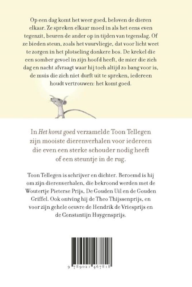 Afbeelding laden in galerijviewer, Toon tellegen: het komt goed. cadeauboek
