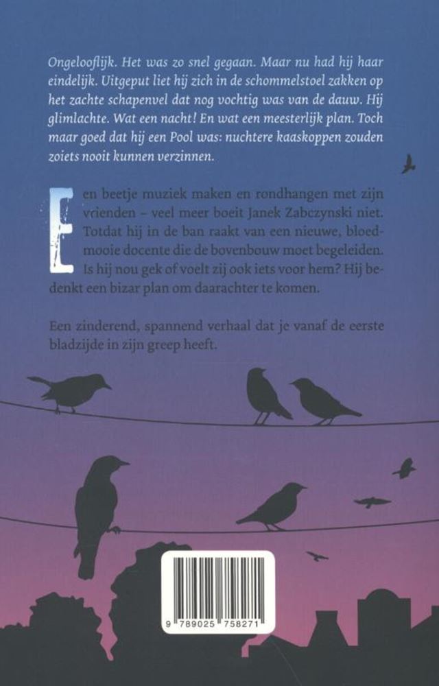 Afbeelding laden in galerijviewer, Blues in f. 13+