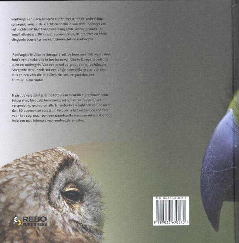 Afbeelding laden in galerijviewer, Roofvogels uilen in europa volwassene