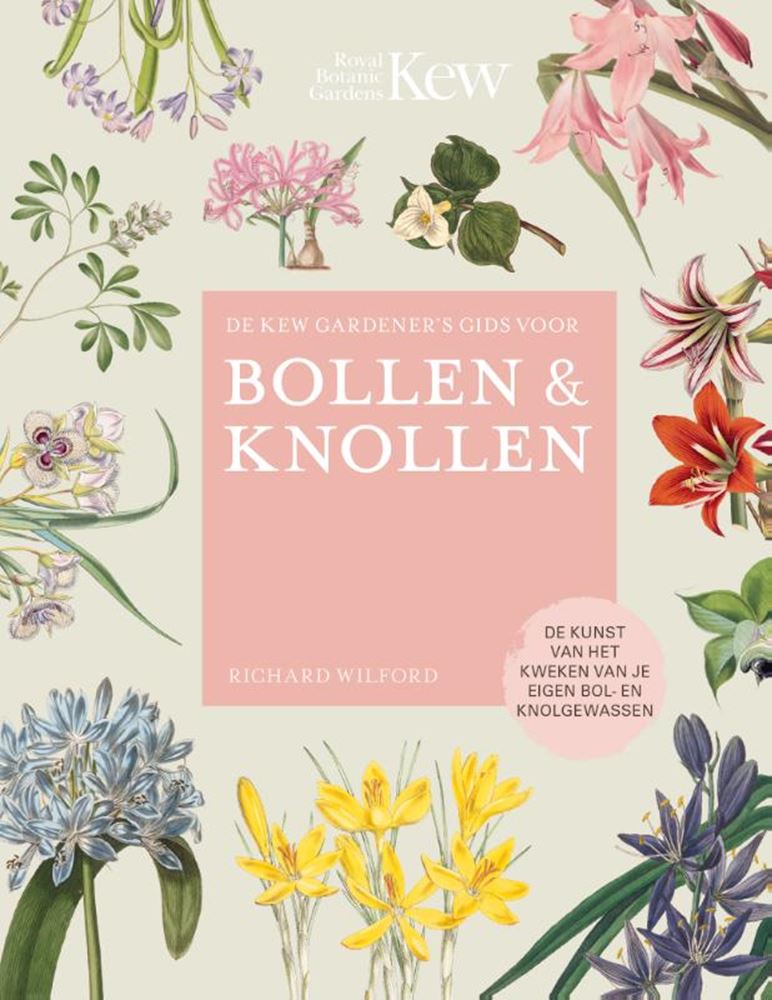 Afbeelding laden in galerijviewer, De kew gardener's gids voor bollen kno