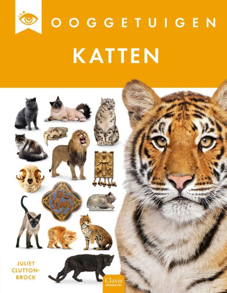 Afbeelding laden in galerijviewer, Ooggetuigen: katten. 8+