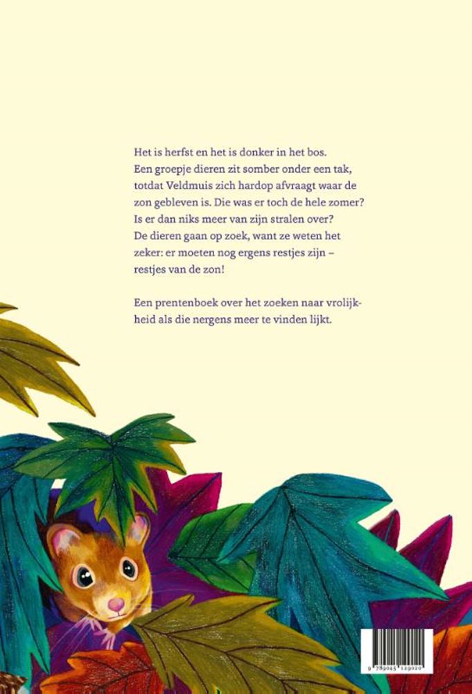 Afbeelding laden in galerijviewer, De restjes van de zon. 4+ zilveren griff