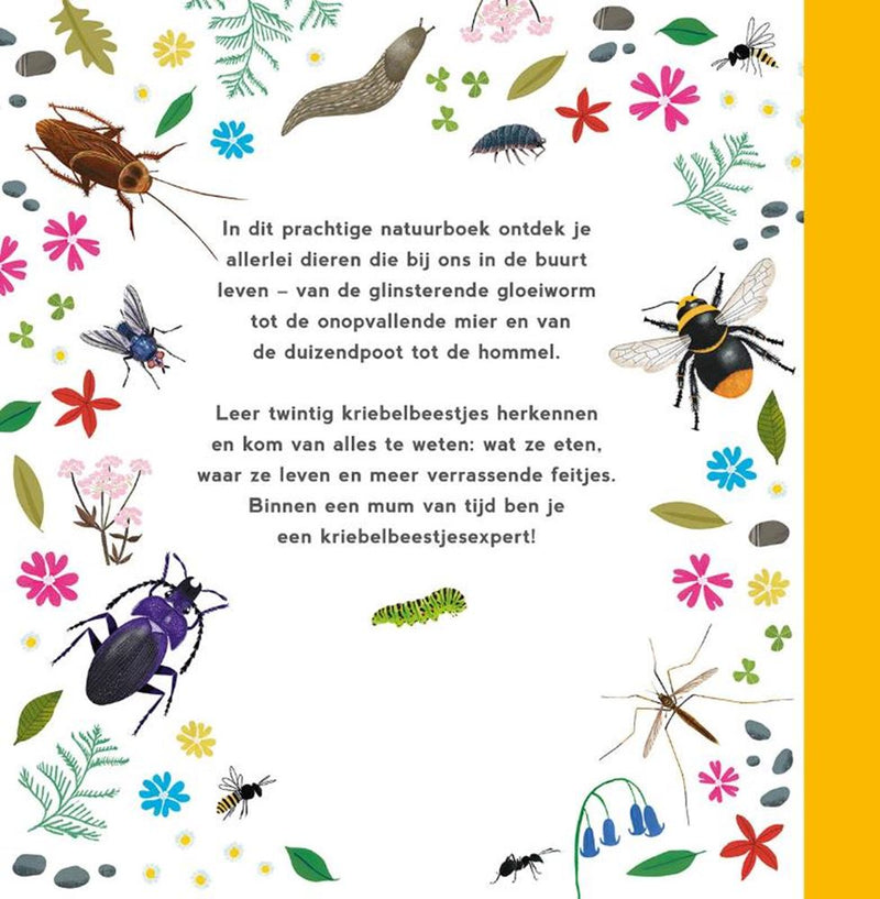 Afbeelding laden in galerijviewer, Mijn eerste kriebelbeestjesboek. 4+
