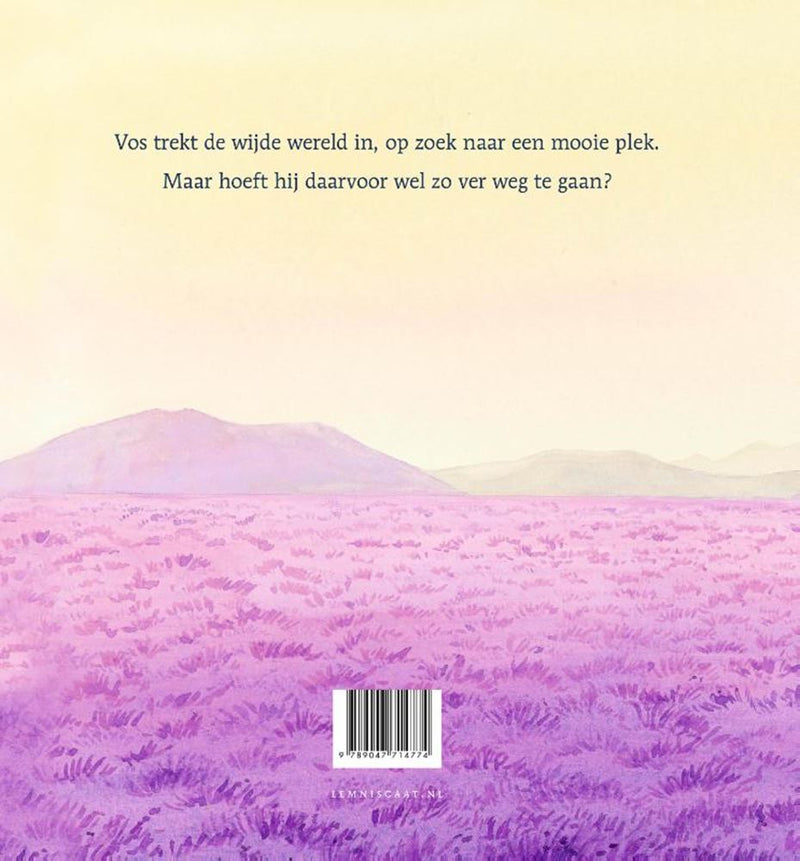 Afbeelding laden in galerijviewer, Op zoek! 4+