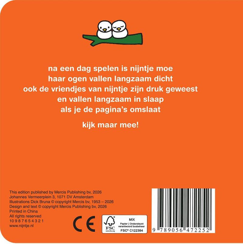 Afbeelding laden in galerijviewer, Nijntje vensterboek, oogjes open oogjes