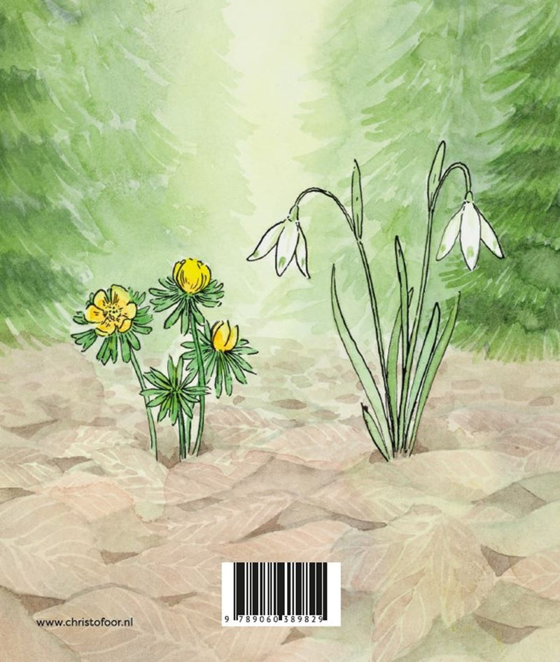 Afbeelding laden in galerijviewer, Winter 1+