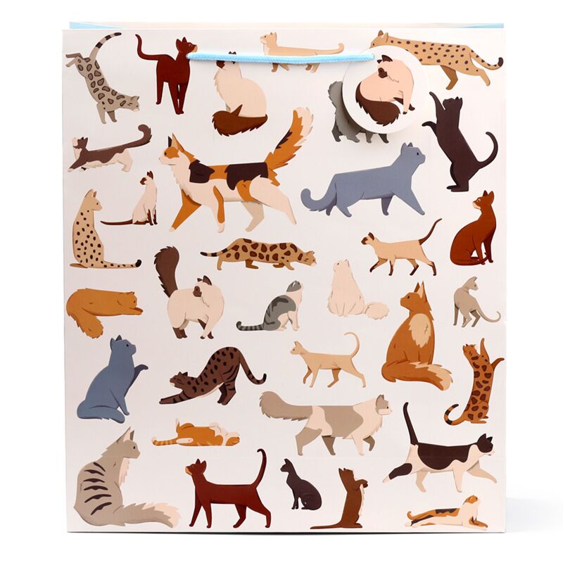 Afbeelding laden in galerijviewer, Feline fine katten - cadeautasje xl
