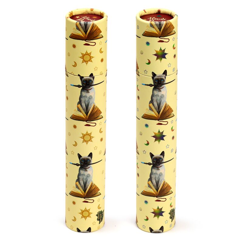 Afbeelding laden in galerijviewer, Lisa parker hocus pocus kat large tekenkoker 12 kleurpotloden