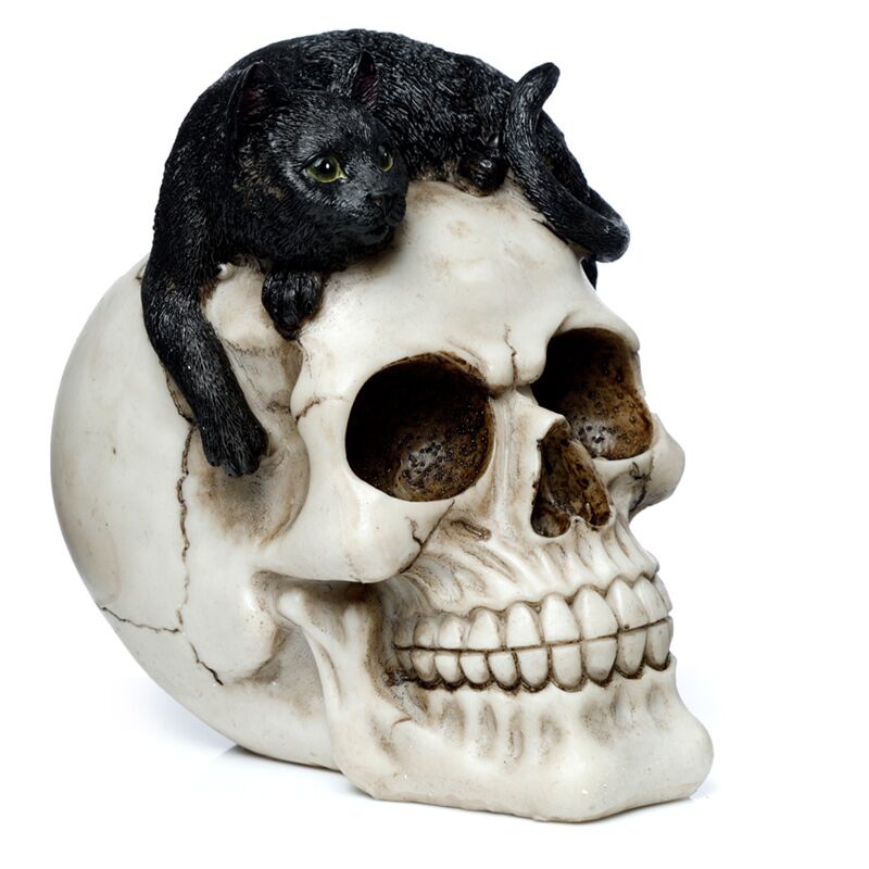 Afbeelding laden in galerijviewer, Schedel met zwarte kat woonaccessoire