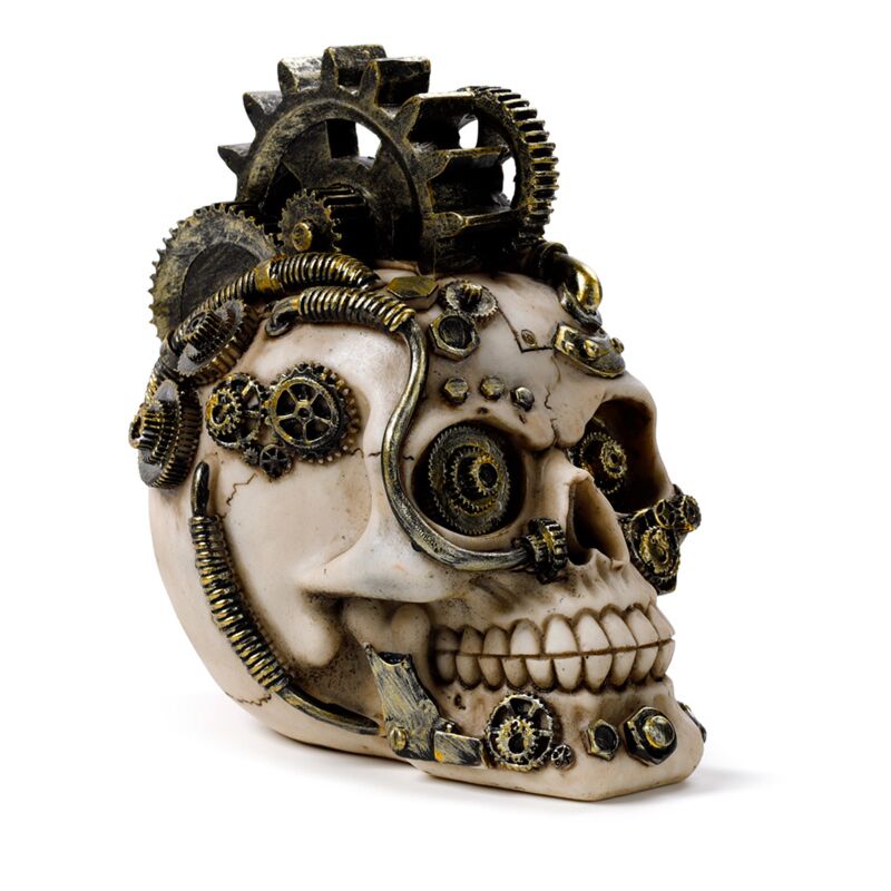 Afbeelding laden in galerijviewer, Steampunk stijl schedel met tandwielen en veren woonaccessoire