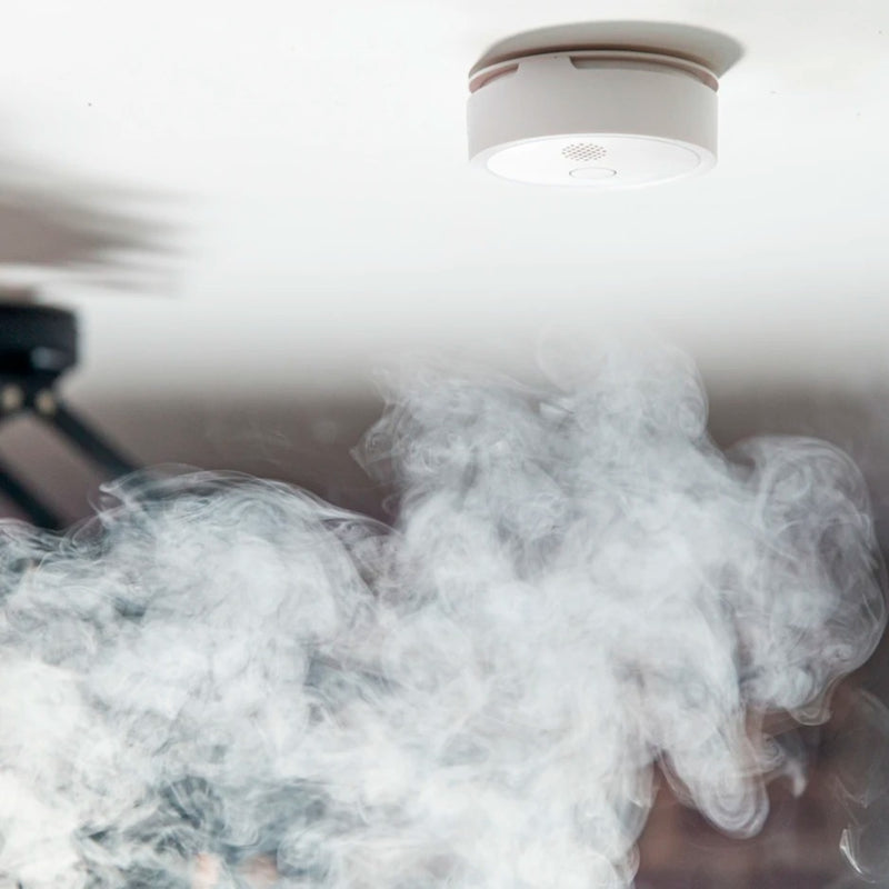 Afbeelding laden in galerijviewer, Shelly Shelly Plus Smoke