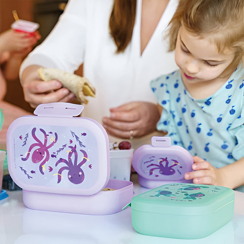 Afbeelding laden in galerijviewer, Amuse snackbox small rond paars octopus