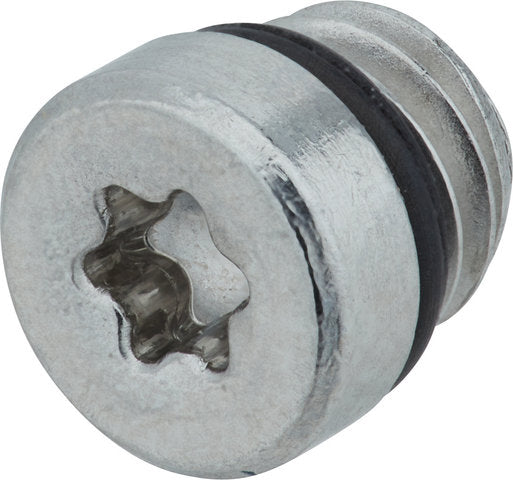 Afbeelding laden in galerijviewer, Formula bleeding grub screw for cura cura e