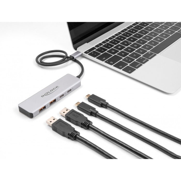 Afbeelding laden in galerijviewer, Delock usb 10 gbps usb-c hub usb-hub (grijs, 2x usb-a 3.2 (10 gbit s), 2x usb-c 3.2 (10 gbit s))