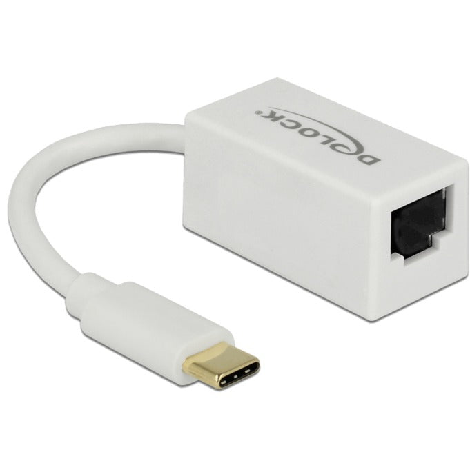 Afbeelding laden in galerijviewer, Delock superspeed usb-c (usb 3.1 gen 1) male > gigabit lan 10 100 1000 mbps compact adapter (wit, 0,135 meter)