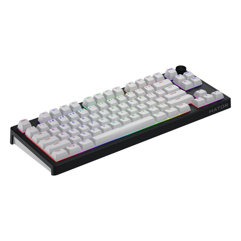 Afbeelding laden in galerijviewer, Hator skyfall wireless rgb mechanisch gaming toetsenbord (zwart, us lay-out (qwerty), hator aurum lemon, 80% (tkl), rgb, double shot abs, hot-swap, 2.4ghz | bluetooth | usb-c)