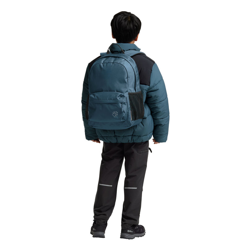 Afbeelding laden in galerijviewer, Jack wolfskin rebel pack 25 rugzak (blauw)