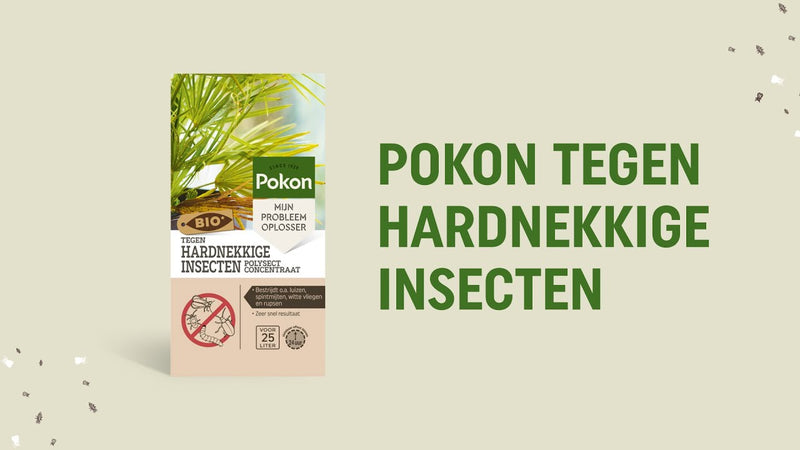 Afbeelding laden in galerijviewer, Pokon producten bio tegen hardnekkige insecten concentraat 175ml poly