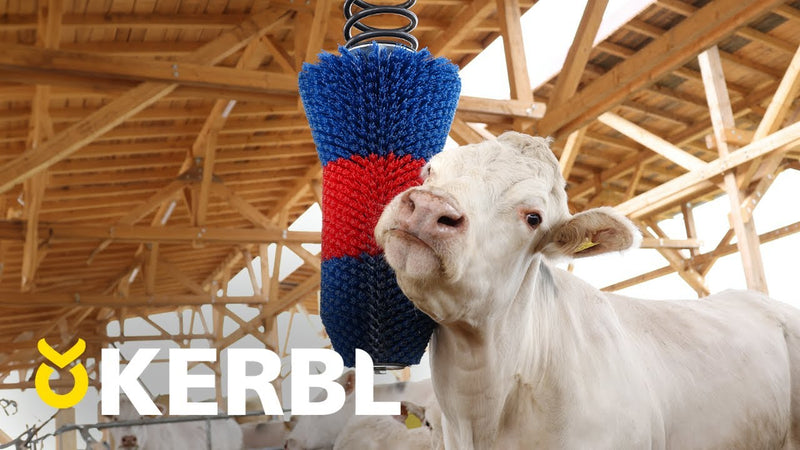 Afbeelding laden in galerijviewer, Producten happycow veeborstel flexiswing