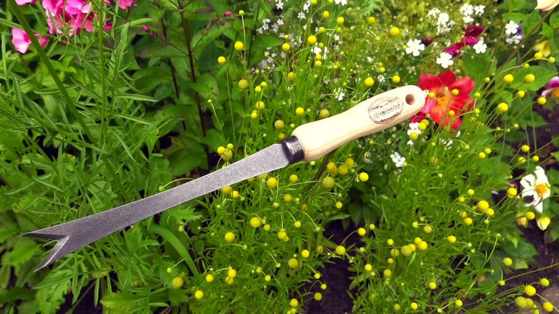 Afbeelding laden in galerijviewer, De wit producten bio paardenbloemsteker essen handvat 14cm dewit