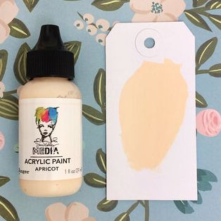 Afbeelding laden in galerijviewer, Ranger ink ranger • dina wakley media heavy body acrylic paint apricot