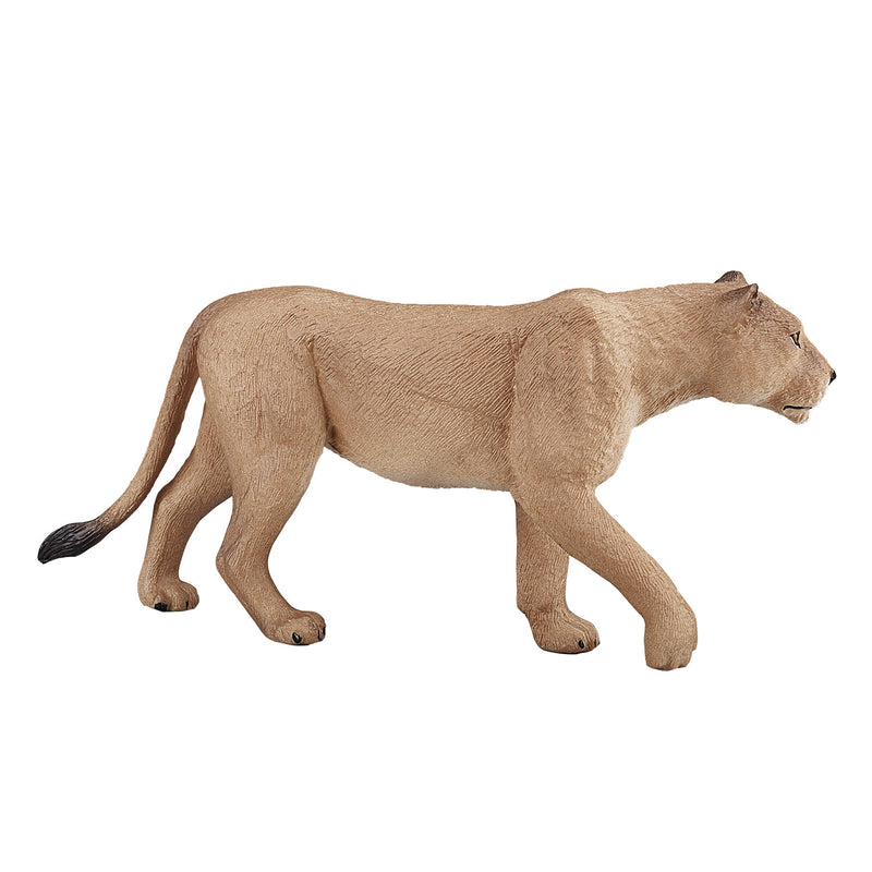 Afbeelding laden in galerijviewer, Mojo Wildlife Leeuwin 387175