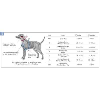 Afbeelding laden in galerijviewer, Trixie Halsband hond premium oceaan blauw