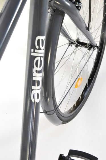 Afbeelding laden in galerijviewer, Dino 28 Inch 49 cm Heren V-Brakes Donkergrijs