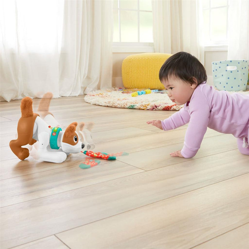 Afbeelding laden in galerijviewer, Fisher price crawl with me puppy + licht en geluid
