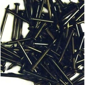 Hoenderdaal fasteners producten staalspijkers a 100st 2 0x25