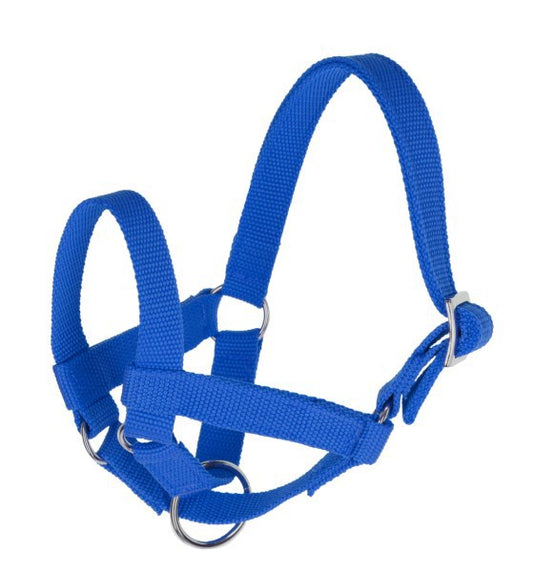 Producten lama halster blauw gr 60