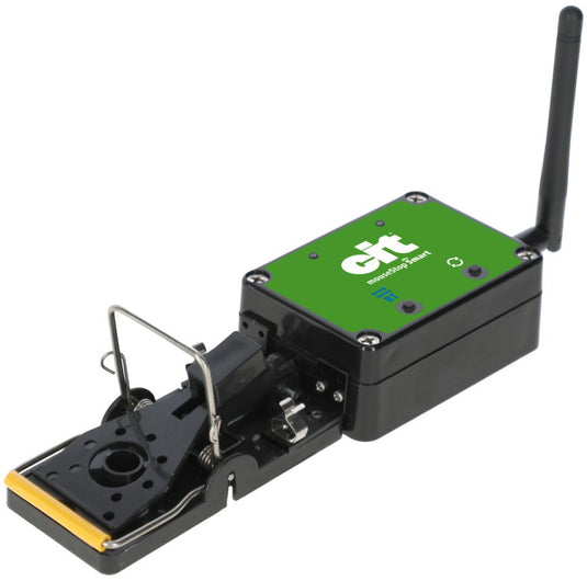 Producten muizenval smart cit mousestop