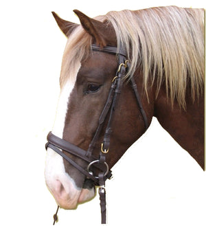 Producten hoofdstel standard leer bruin pony