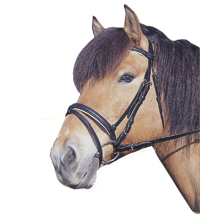 Producten hoofdstel standard leer bruin cob
