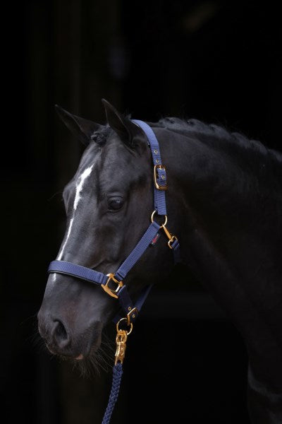 Abi producten topline halster blauw 2 full
