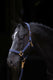 Abi producten topline halster blauw 2 full