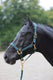Abi producten topline halster donkergroen 1 pony