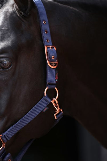 Abi producten classy halster veulenshetland marine