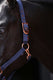 Abi producten classy halster veulenshetland marine