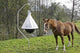Producten dazenval taonx compleet