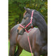 Abi producten hippo halster bordeauxbeige 2 cob
