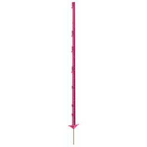 Ako producten expert kunststof paal pink 156cm 5 stuks
